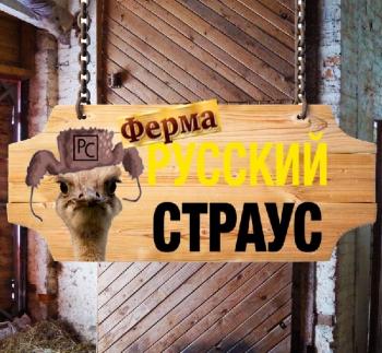 Страусиная ферма