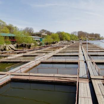 Экскурсия по ферме с дегустацией блюд