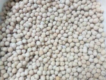 Горох посевной линия L-305 ПРНС