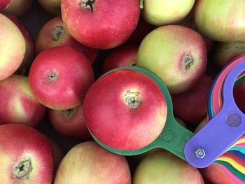 Яблоки из Крыма