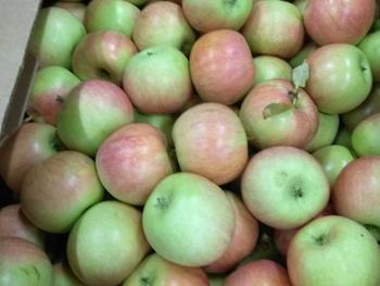 Яблоки (II и III категории вперемешку)