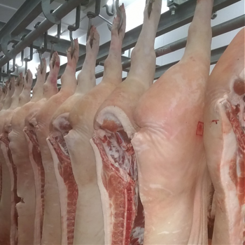 Мясная продукция оптом