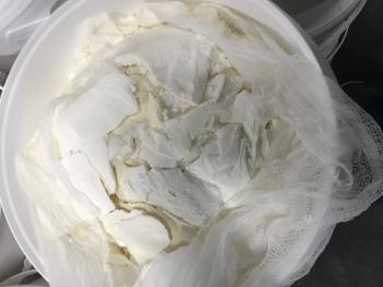 Творог домашний на марле 