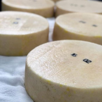 Фермерский сыр