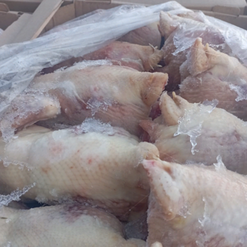 Суповая курица (несушка) 2 сорт