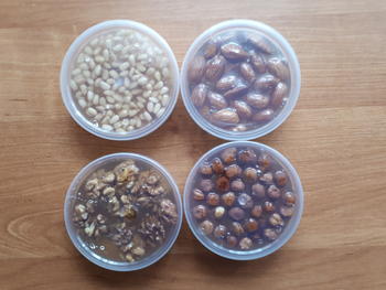 Куплю орехи Пекан