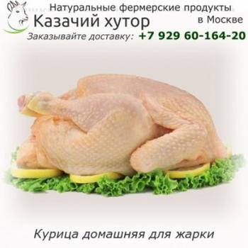 Курица домашняя