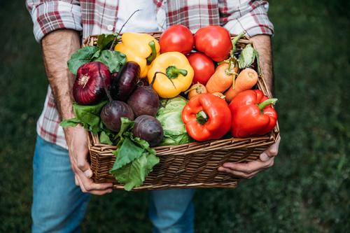 Новости ТВОЙПРОДУКТ: Липецкая область находится на втором месте в России по сбору овощей закрытого грунта