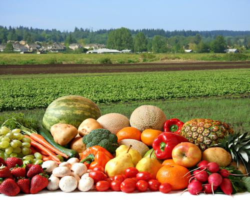 Новости ТВОЙПРОДУКТ: Минсельхоз представил новую версию агропрограммы