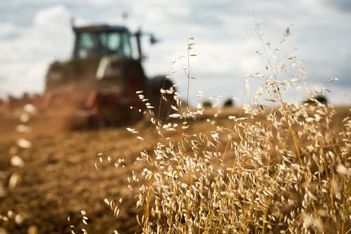 Новости ТВОЙПРОДУКТ: В Минсельхозе отметили важность испытания сельскохозяйственной техники