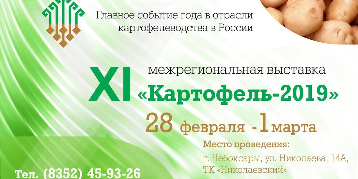 Новости ТВОЙПРОДУКТ: Выставка «Картофель-2019»